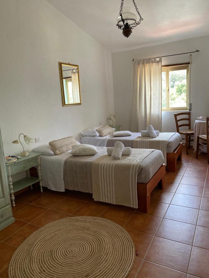 B&B La Pitraia Sant'Antonio di Gallura Exteriör bild