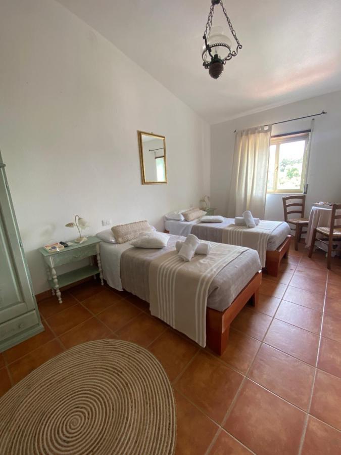 B&B La Pitraia Sant'Antonio di Gallura Exteriör bild